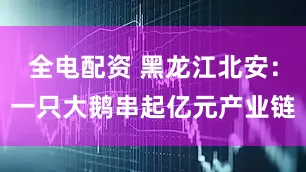 全电配资 黑龙江北安：一只大鹅串起亿元产业链