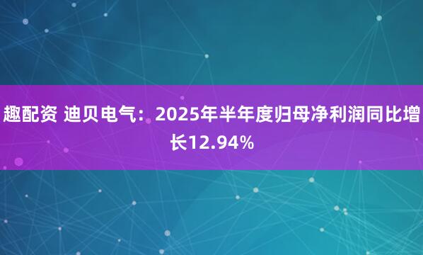趣配资 迪贝电气：2025年半年度归母净利润同比增长12.94%